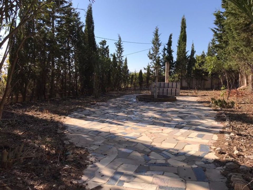 Landhuis in Salinas, Alicante - foto 3